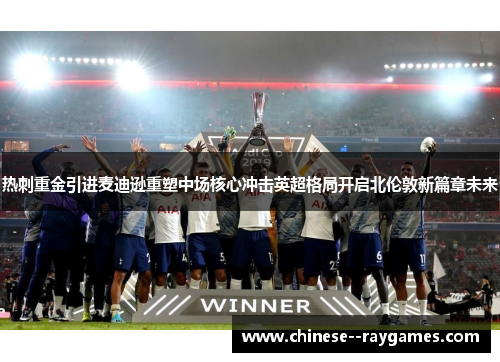 热刺重金引进麦迪逊重塑中场核心冲击英超格局开启北伦敦新篇章未来