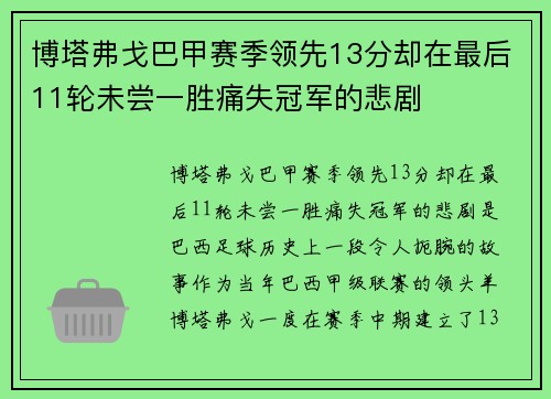 博塔弗戈巴甲赛季领先13分却在最后11轮未尝一胜痛失冠军的悲剧